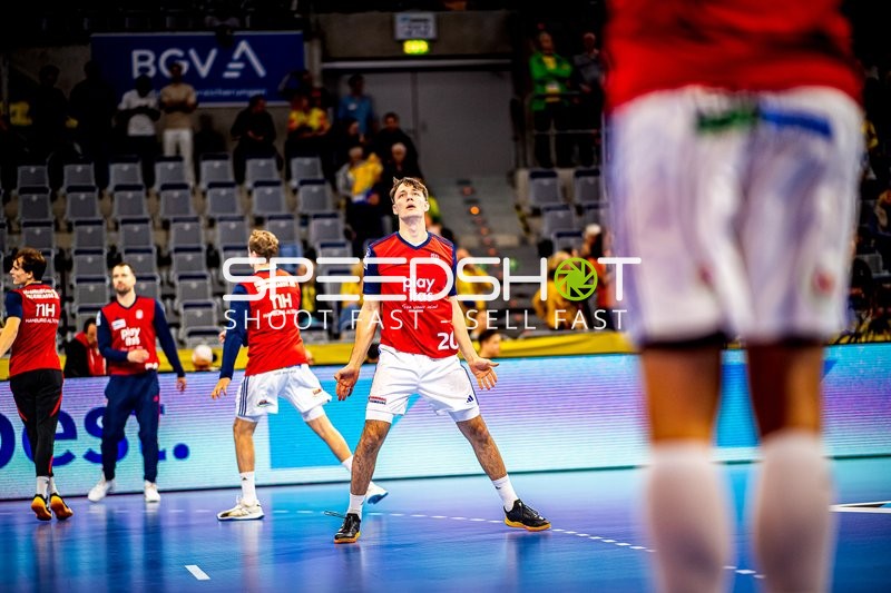 Handball I Herren I Saison 2024-2025 I Daikin Handballbundesliga I 5. Spieltag I Rhein-Neckar Löwen - Handball Sportverein Hamburg I 07.10.2024