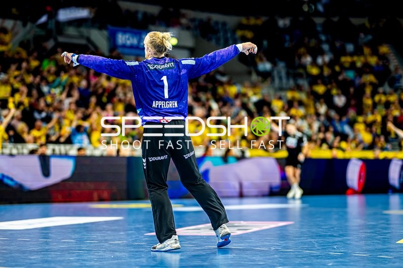 Handball I Herren I Saison 2024-2025 I Daikin Handballbundesliga I 5. Spieltag I Rhein-Neckar Löwen - Handball Sportverein Hamburg I 07.10.2024