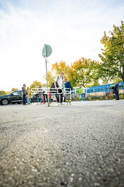Handball I Herren I Saison 2024-2025 I Daikin Handballbundesliga I 7. Spieltag I Rhein-Neckar Löwen - HC Erlangen I 17.10.2024