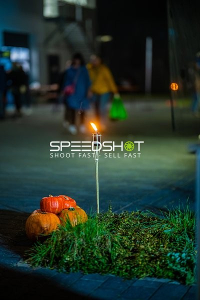 Handball I Herren I Saison 2024-2025 I Daikin Handballbundesliga I Löwenoutlet I 30.10.2024