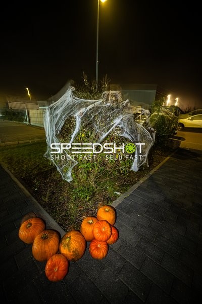 Handball I Herren I Saison 2024-2025 I Daikin Handballbundesliga I Löwenoutlet I 30.10.2024