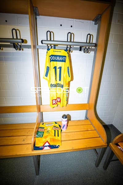 Handball I Herren I Saison 2024-2025 I Daikin Handballbundesliga I 9. Spieltag I Rhein-Neckar Löwen - ThSV Eisenach I 01.11.2024