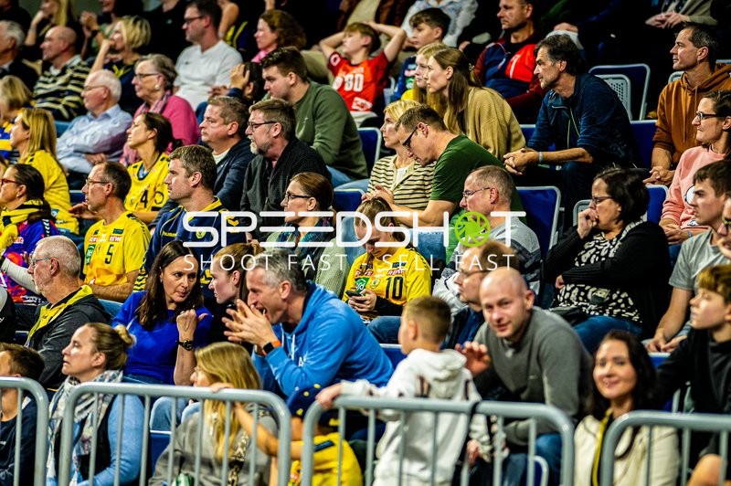 Handball I Herren I Saison 2024-2025 I Daikin Handballbundesliga I 9. Spieltag I Rhein-Neckar Löwen - ThSV Eisenach I 01.11.2024