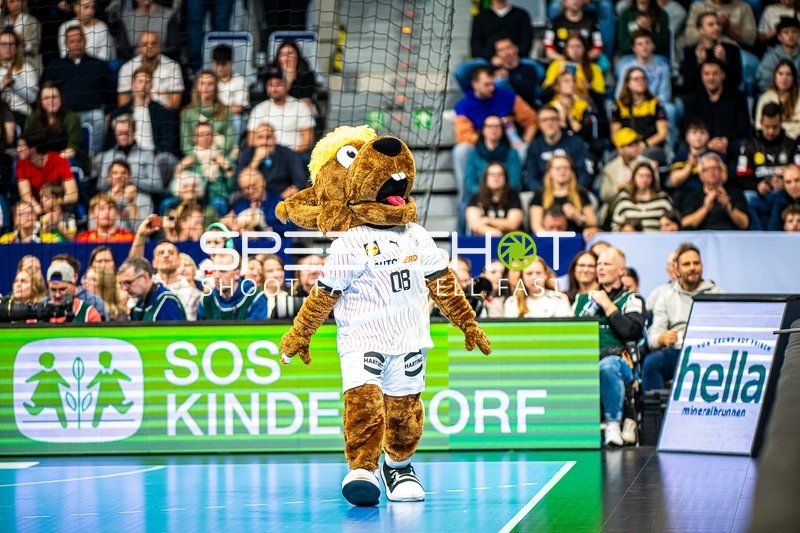 Handball I Herren I EHF Qualifiers EURO 2026 I 2. Spieltag I Deutschland - Schweiz I 07.11.2024