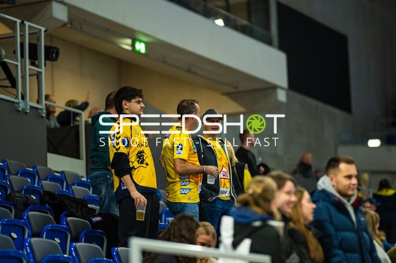 Handball I Herren I Saison 2024-2025 I DHB-Pokal I Achtelfinale I Rhein-Neckar Löwen - Füchse Berlin I 14.11.2024