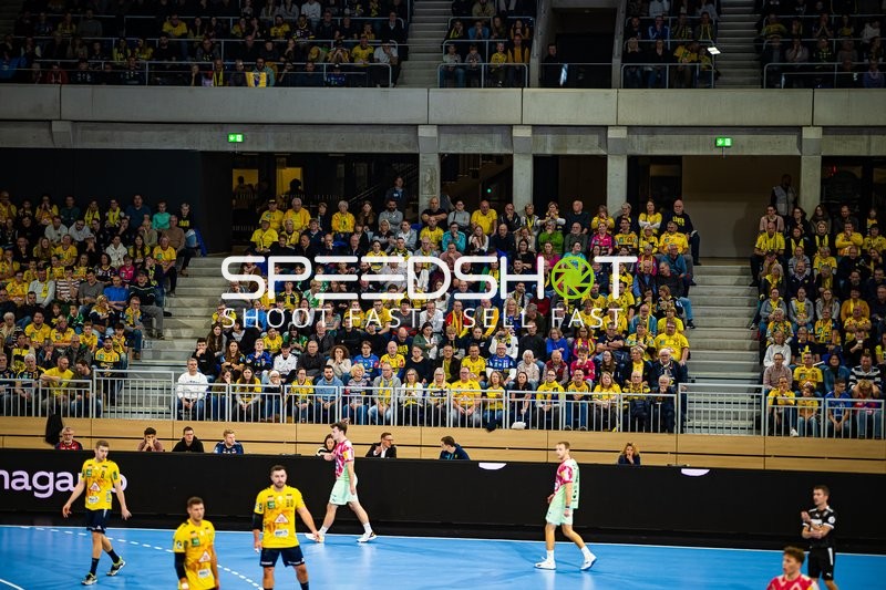 Handball I Herren I Saison 2024-2025 I DHB-Pokal I Achtelfinale I Rhein-Neckar Löwen - Füchse Berlin I 14.11.2024