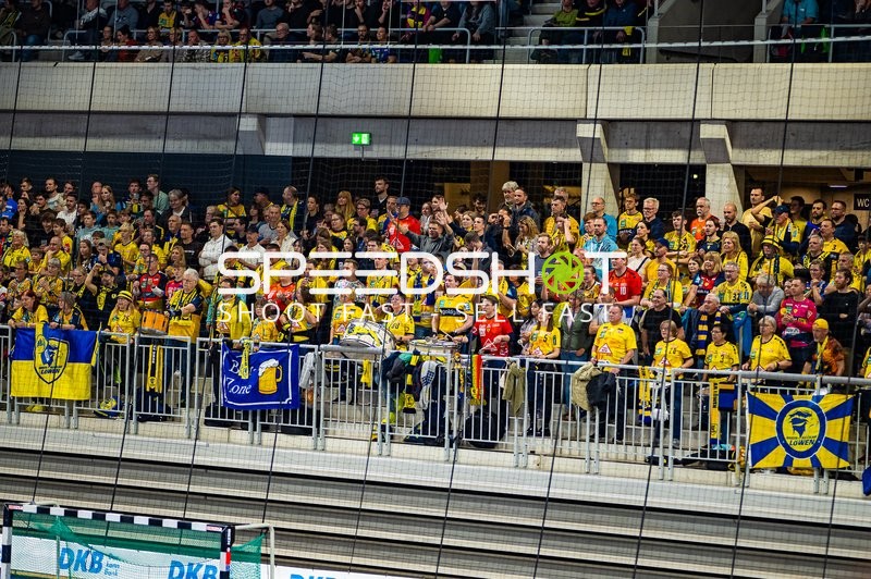 Handball I Herren I Saison 2024-2025 I DHB-Pokal I Achtelfinale I Rhein-Neckar Löwen - Füchse Berlin I 14.11.2024