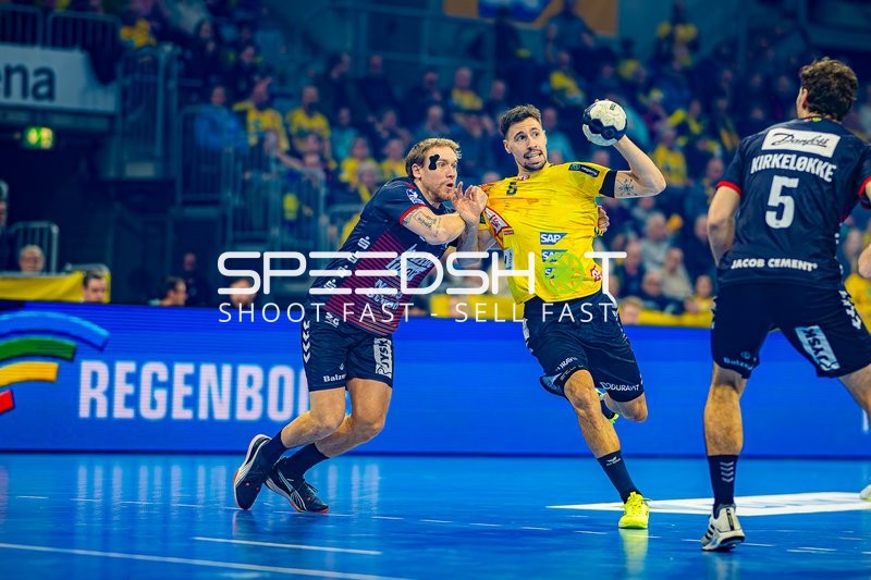 Handball I Herren I Saison 2024-2025 I Daikin Handballbundesliga I 14. Spieltag I Rhein-Neckar Löwen - SG Flensburg-Handewitt I 12.12.2024
