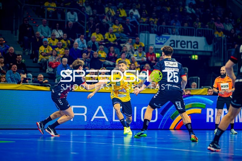 Handball I Herren I Saison 2024-2025 I Daikin Handballbundesliga I 14. Spieltag I Rhein-Neckar Löwen - SG Flensburg-Handewitt I 12.12.2024