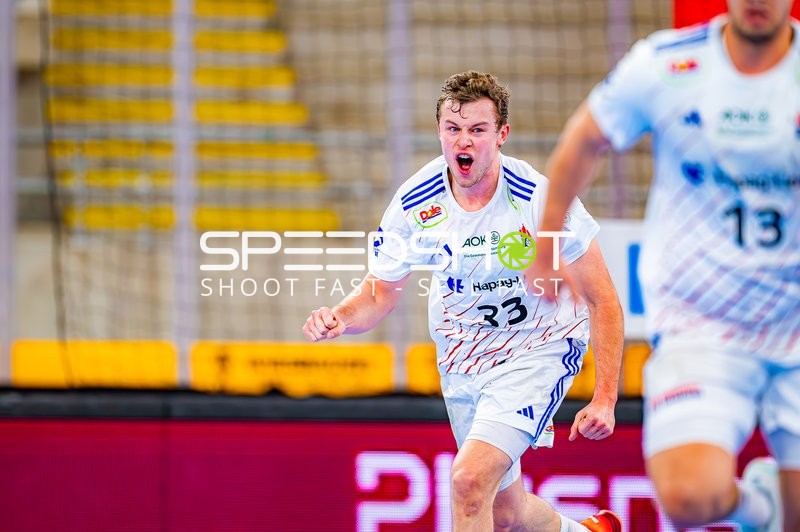 Handball I Herren I Saison 2024-2025 I Daikin Handballbundesliga I 15. Spieltag I SG BBM Bietigheim - Handball Sportverein Hamburg I 14.12.2024