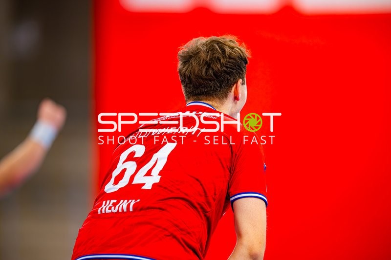 Handball I Herren I Saison 2024-2025 I Daikin Handballbundesliga I 15. Spieltag I SG BBM Bietigheim - Handball Sportverein Hamburg I 14.12.2024