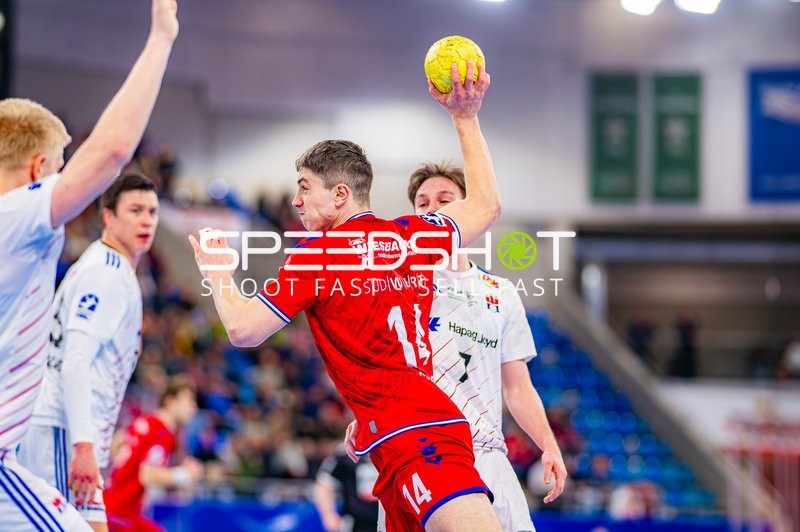 Handball I Herren I Saison 2024-2025 I Daikin Handballbundesliga I 15. Spieltag I SG BBM Bietigheim - Handball Sportverein Hamburg I 14.12.2024