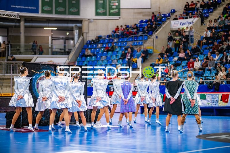 Handball I Herren I Saison 2024-2025 I Daikin Handballbundesliga I 15. Spieltag I SG BBM Bietigheim - Handball Sportverein Hamburg I 14.12.2024