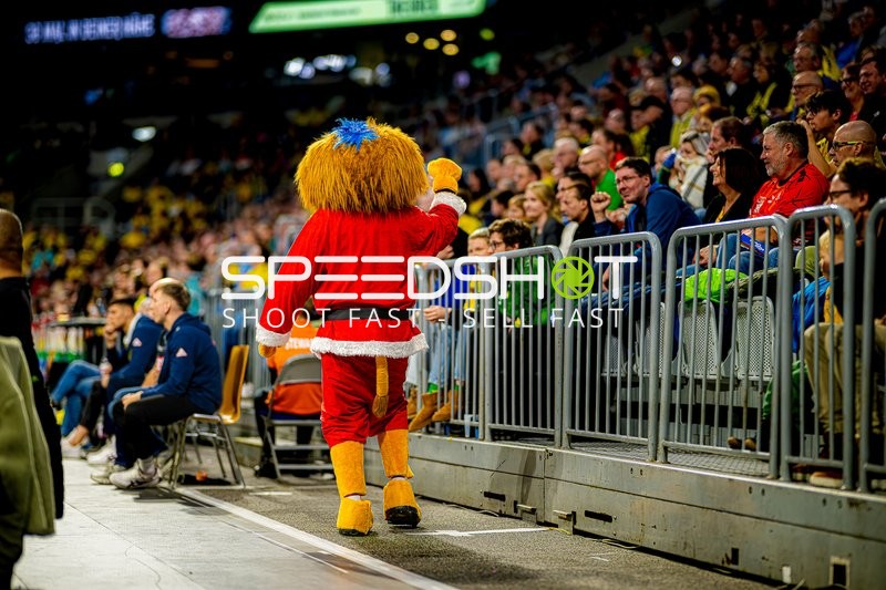 Handball I Herren I Saison 2024-2025 I Daikin Handballbundesliga I 15. Spieltag I Rhein-Neckar Löwen - SC Magdeburg I 15.12.2024