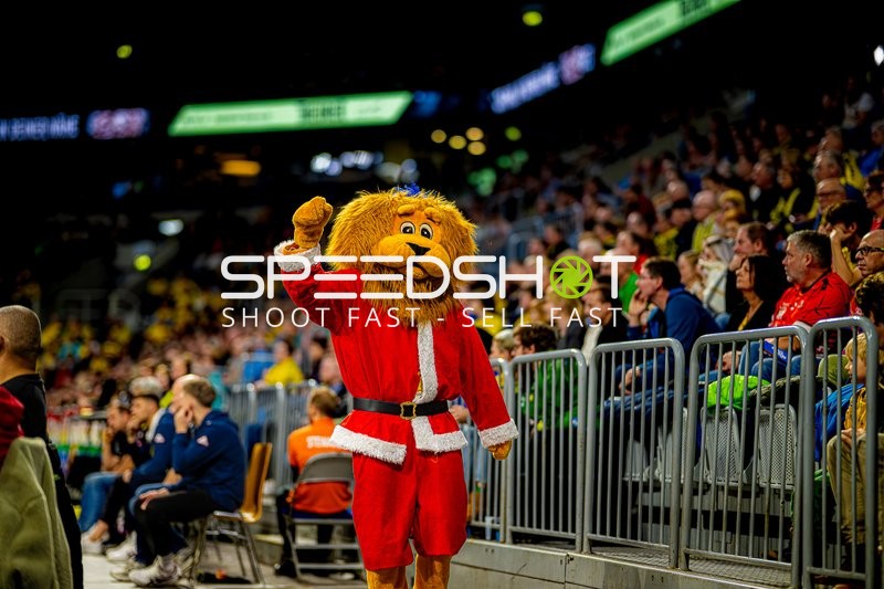 Handball I Herren I Saison 2024-2025 I Daikin Handballbundesliga I 15. Spieltag I Rhein-Neckar Löwen - SC Magdeburg I 15.12.2024