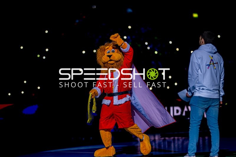 Handball I Herren I Saison 2024-2025 I Daikin Handballbundesliga I 15. Spieltag I Rhein-Neckar Löwen - SC Magdeburg I 15.12.2024