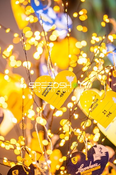 Handball I Herren I Saison 2024-2025 I Daikin Handballbundesliga I 15. Spieltag I Rhein-Neckar Löwen - SC Magdeburg I 15.12.2024