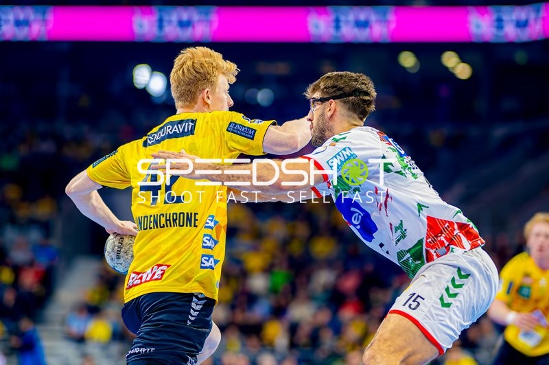 Handball I Herren I Saison 2024-2025 I Daikin Handballbundesliga I 15. Spieltag I Rhein-Neckar Löwen - SC Magdeburg I 15.12.2024