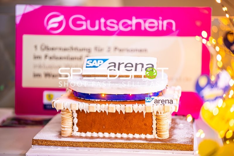 Handball I Herren I Saison 2024-2025 I Daikin Handballbundesliga I 15. Spieltag I Rhein-Neckar Löwen - SC Magdeburg I 15.12.2024