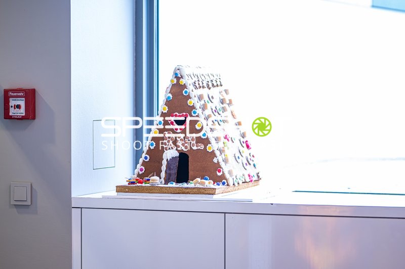 Handball I Herren I Saison 2024-2025 I Daikin Handballbundesliga I 15. Spieltag I Rhein-Neckar Löwen - SC Magdeburg I 15.12.2024