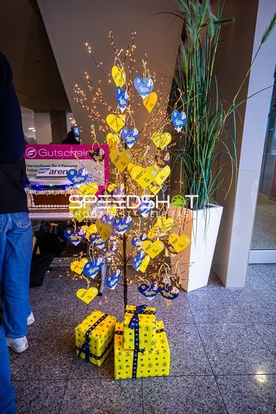 Handball I Herren I Saison 2024-2025 I Daikin Handballbundesliga I 15. Spieltag I Rhein-Neckar Löwen - SC Magdeburg I 15.12.2024