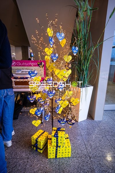 Handball I Herren I Saison 2024-2025 I Daikin Handballbundesliga I 15. Spieltag I Rhein-Neckar Löwen - SC Magdeburg I 15.12.2024