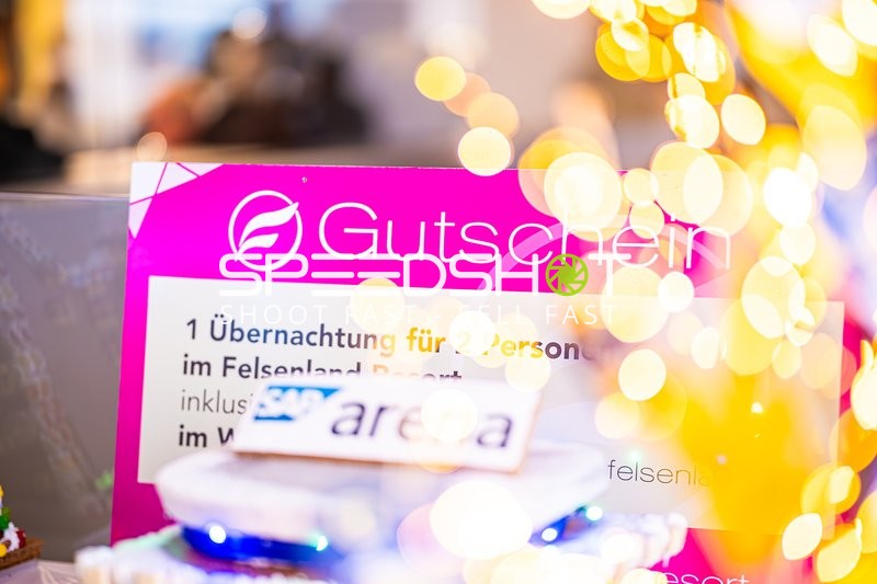 Handball I Herren I Saison 2024-2025 I Daikin Handballbundesliga I 15. Spieltag I Rhein-Neckar Löwen - SC Magdeburg I 15.12.2024