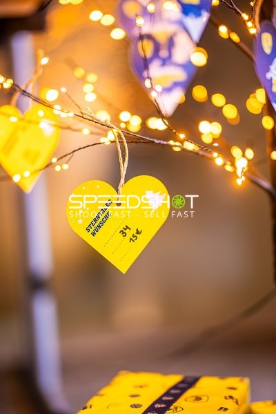 Handball I Herren I Saison 2024-2025 I Daikin Handballbundesliga I 15. Spieltag I Rhein-Neckar Löwen - SC Magdeburg I 15.12.2024