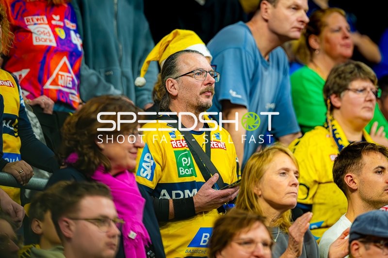 Handball I Herren I Saison 2024-2025 I Daikin Handballbundesliga I 15. Spieltag I Rhein-Neckar Löwen - SC Magdeburg I 15.12.2024