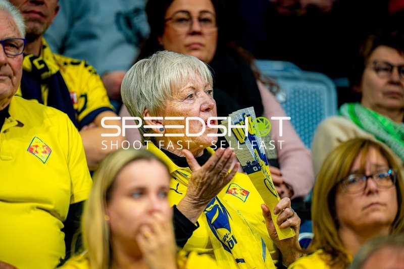 Handball I Herren I Saison 2024-2025 I Daikin Handballbundesliga I 15. Spieltag I Rhein-Neckar Löwen - SC Magdeburg I 15.12.2024