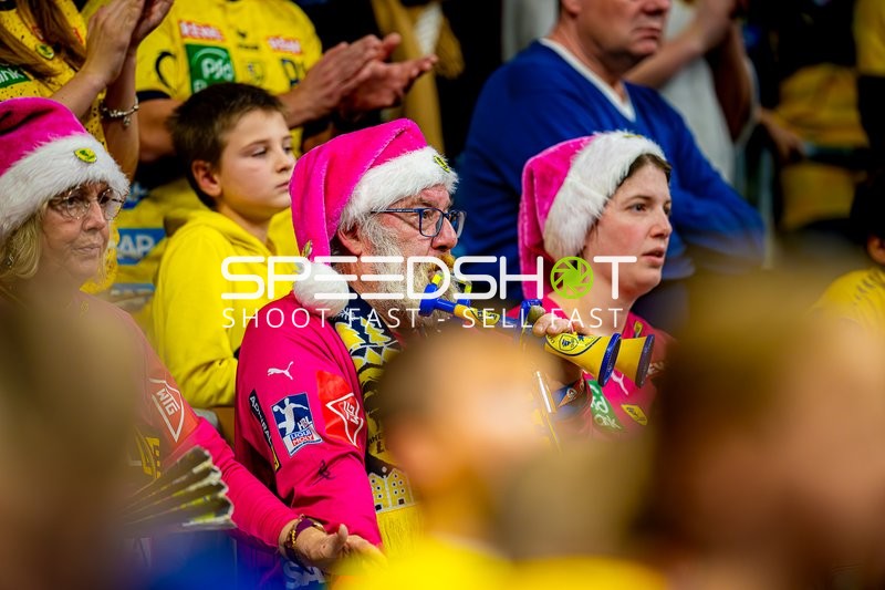 Handball I Herren I Saison 2024-2025 I Daikin Handballbundesliga I 15. Spieltag I Rhein-Neckar Löwen - SC Magdeburg I 15.12.2024