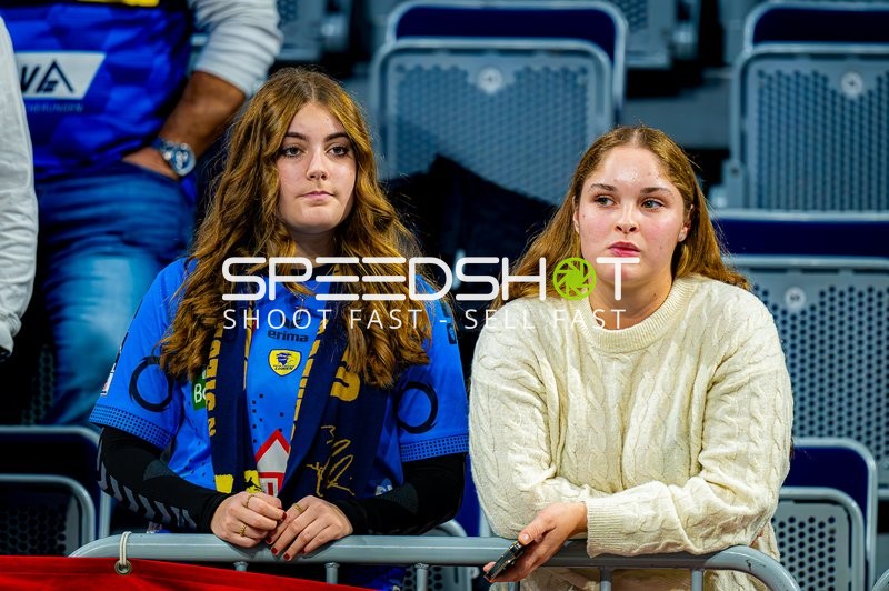 Handball I Herren I Saison 2024-2025 I Daikin Handballbundesliga I 15. Spieltag I Rhein-Neckar Löwen - SC Magdeburg I 15.12.2024