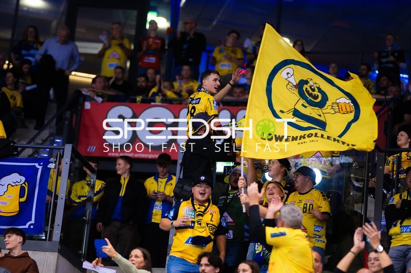 Handball I Herren I Saison 2024-2025 I Daikin Handballbundesliga I 16. Spieltag I TVB Stuttgart - Rhein-Neckar Löwen I 23.12.2024