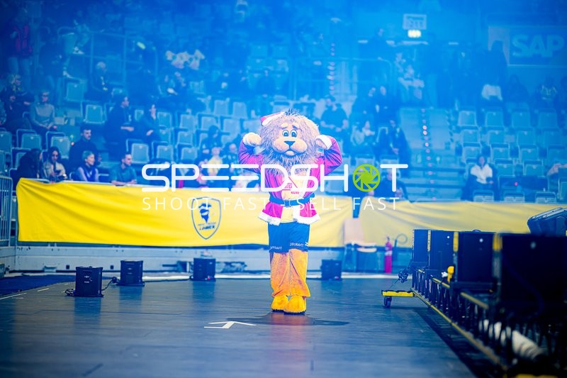 Handball I Herren I Saison 2024-2025 I Daikin Handballbundesliga I 17. Spieltag I Rhein-Neckar Löwen - HSG Wetzlar I 26.12.2024