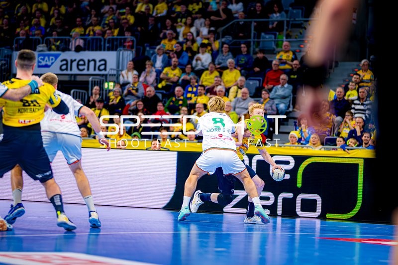 Handball I Herren I Saison 2024-2025 I Daikin Handballbundesliga I 17. Spieltag I Rhein-Neckar Löwen - HSG Wetzlar I 26.12.2024