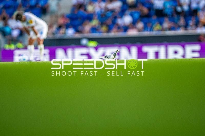 Fußball I Herren I Saison 2024-2025 I Bundesliga I 1. Spieltag I TSG 1899 Hoffenheim - Holstein Kiel I 24.08.2024