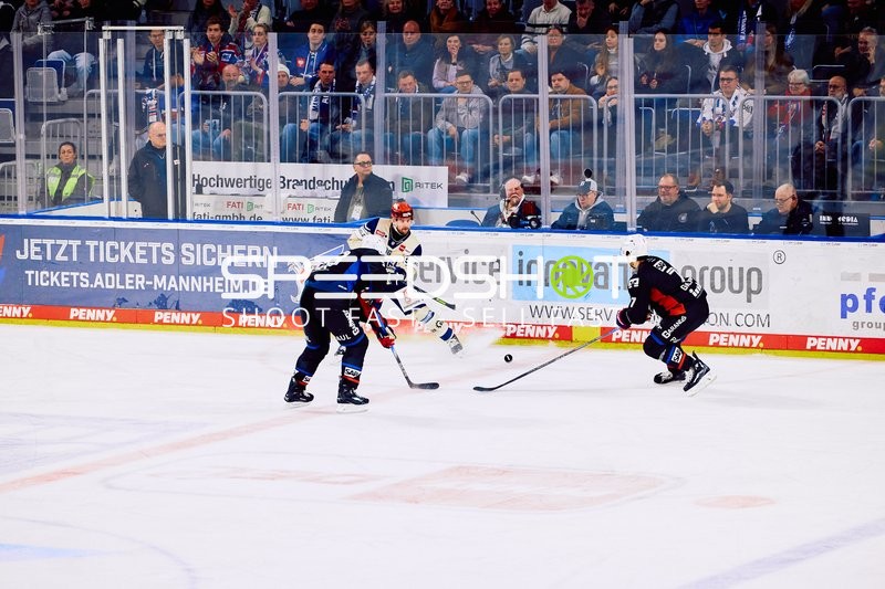 Adler Mannheim vs Schwenninger Wild Wings | 19.01.2024