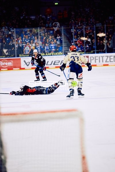 Adler Mannheim vs Schwenninger Wild Wings | 19.01.2024
