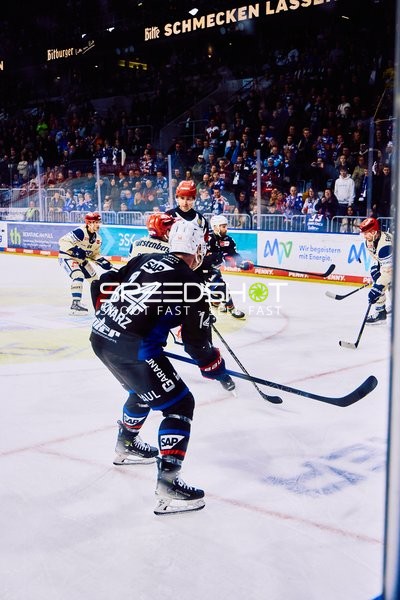 Adler Mannheim vs Schwenninger Wild Wings | 19.01.2024