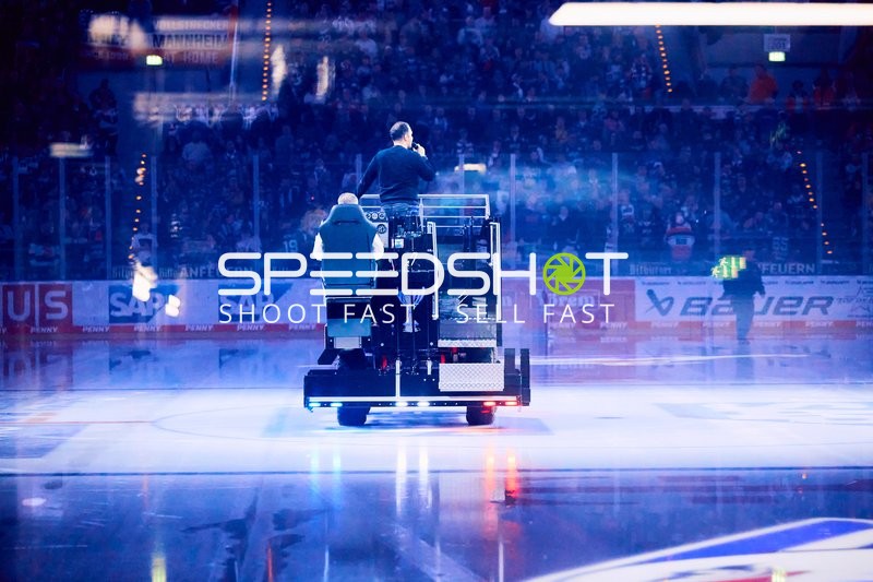 Adler Mannheim vs Schwenninger Wild Wings | 19.01.2024