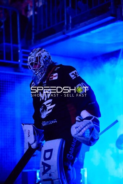 Adler Mannheim vs Schwenninger Wild Wings | 19.01.2024
