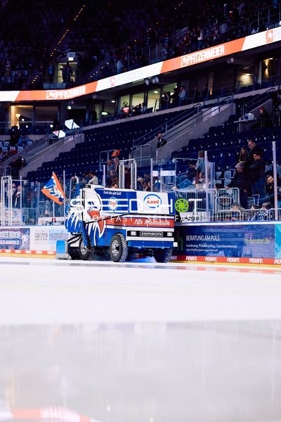 Adler Mannheim vs Schwenninger Wild Wings | 19.01.2024