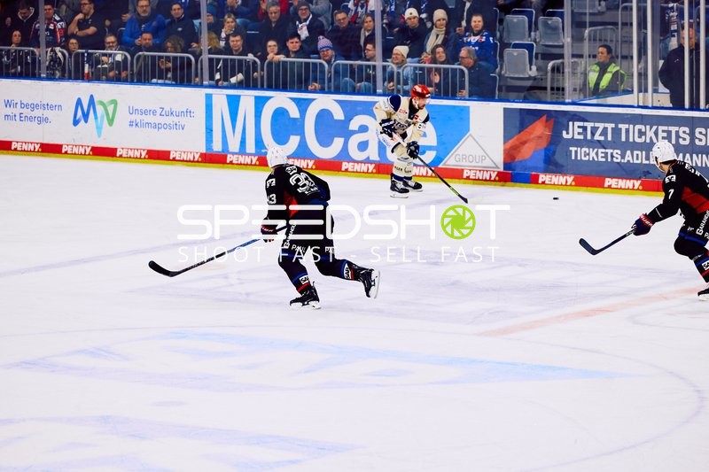 Adler Mannheim vs Schwenninger Wild Wings | 19.01.2024
