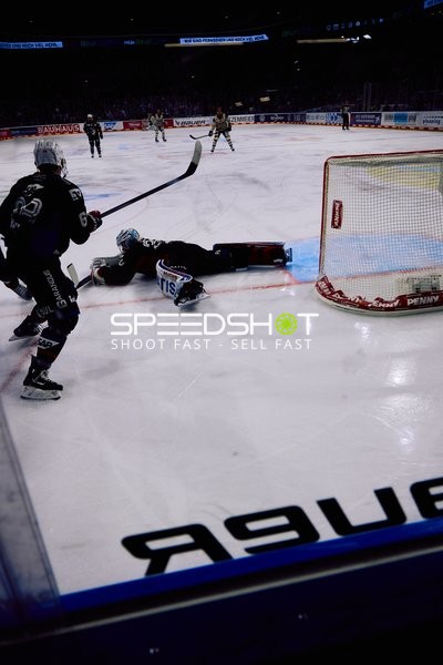 Adler Mannheim vs Schwenninger Wild Wings | 19.01.2024