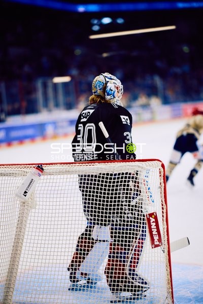 Adler Mannheim vs Schwenninger Wild Wings | 19.01.2024