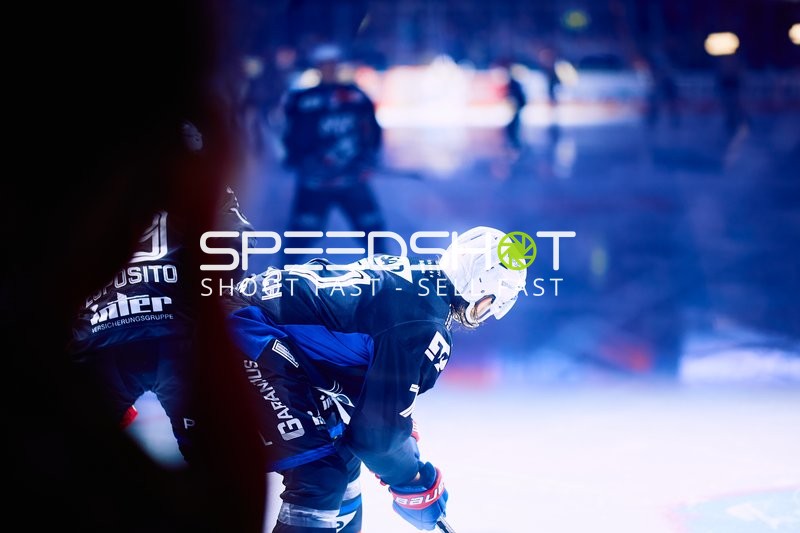 Adler Mannheim vs Schwenninger Wild Wings | 19.01.2024