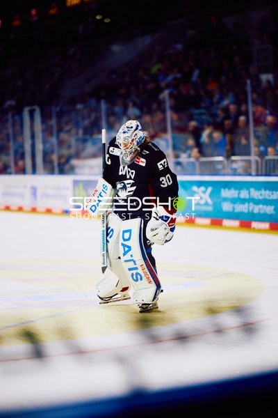 Adler Mannheim vs Schwenninger Wild Wings | 19.01.2024