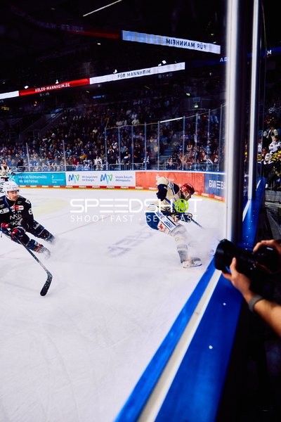Adler Mannheim vs Schwenninger Wild Wings | 19.01.2024