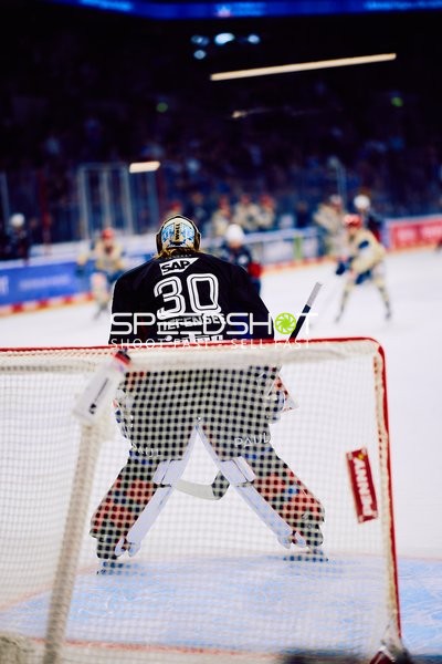 Adler Mannheim vs Schwenninger Wild Wings | 19.01.2024