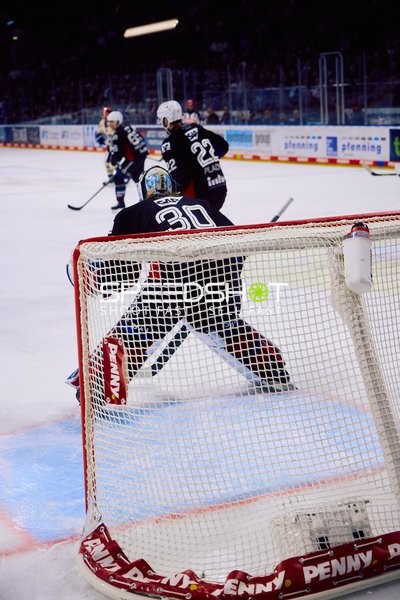 Adler Mannheim vs Schwenninger Wild Wings | 19.01.2024